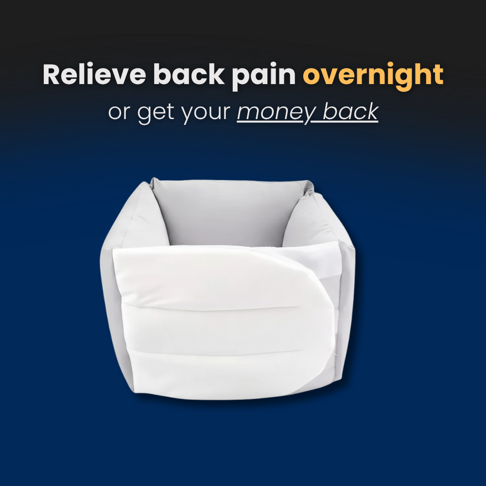 align - back support belt