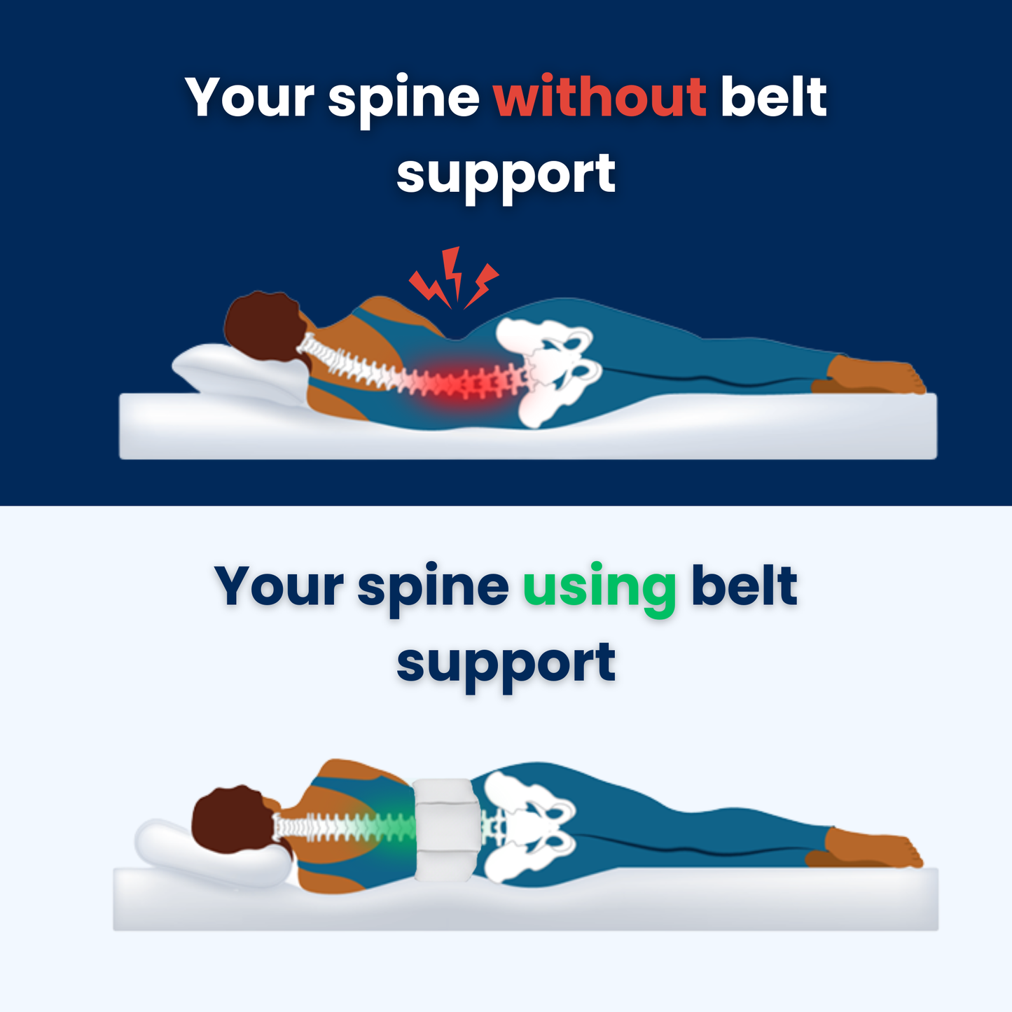 align - back support belt